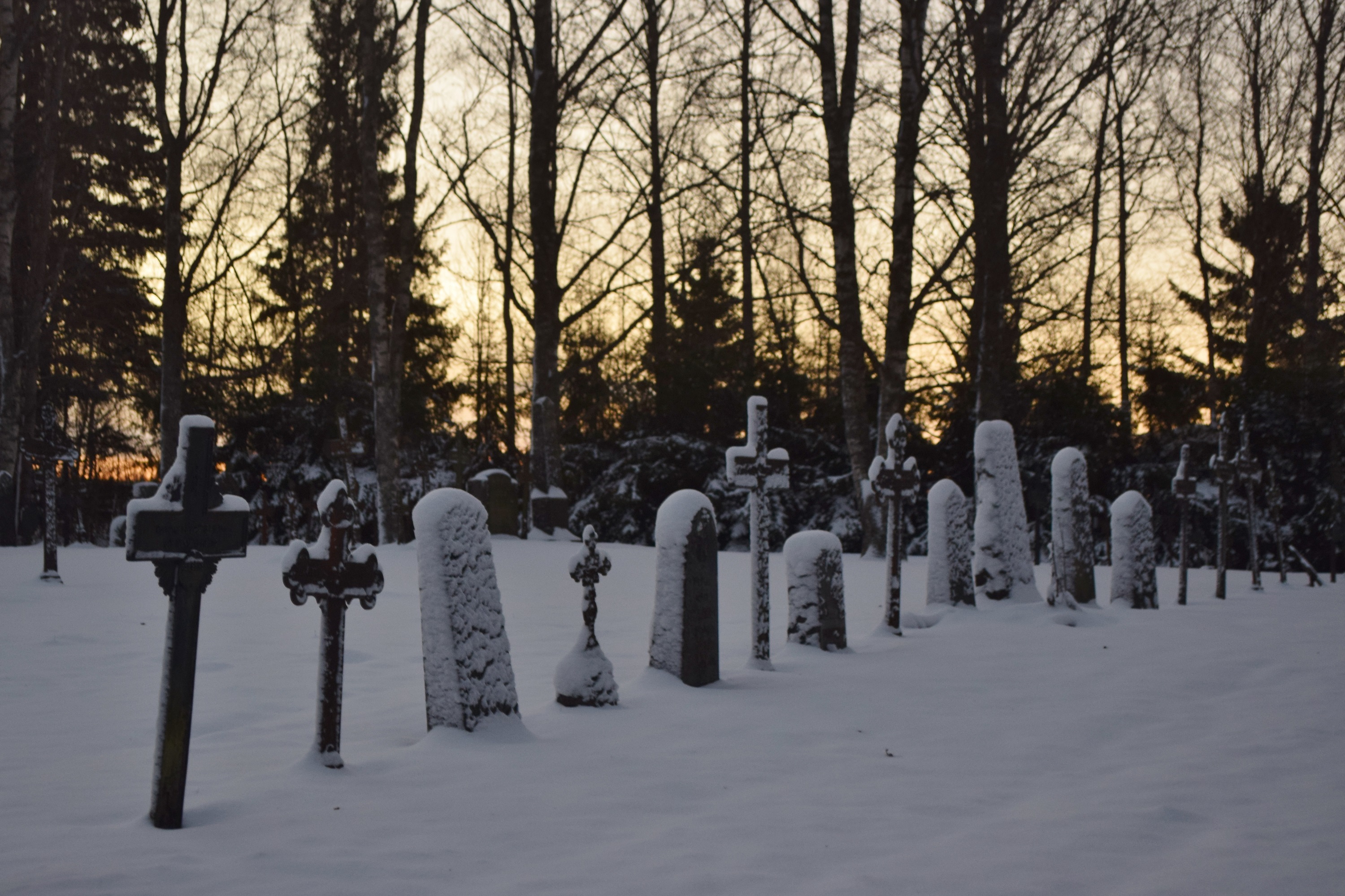 Kvarnholmsback begravningsplats. 